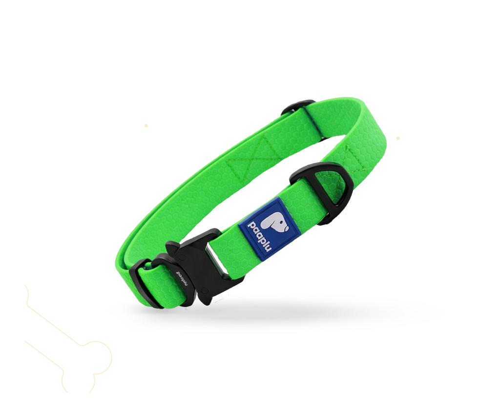 Paaplu Dog Collar Pro