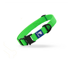 Paaplu Dog Collar Pro
