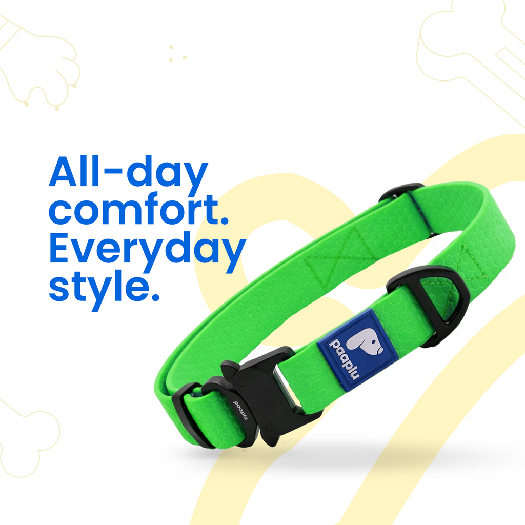 Paaplu Dog Collar Pro