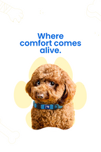 Paaplu Dog Collar Pro