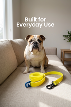 Paaplu Dog Leash Pro