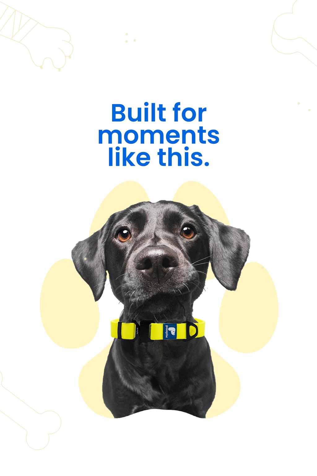 Paaplu Dog Collar Pro