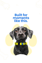 Paaplu Dog Collar Pro