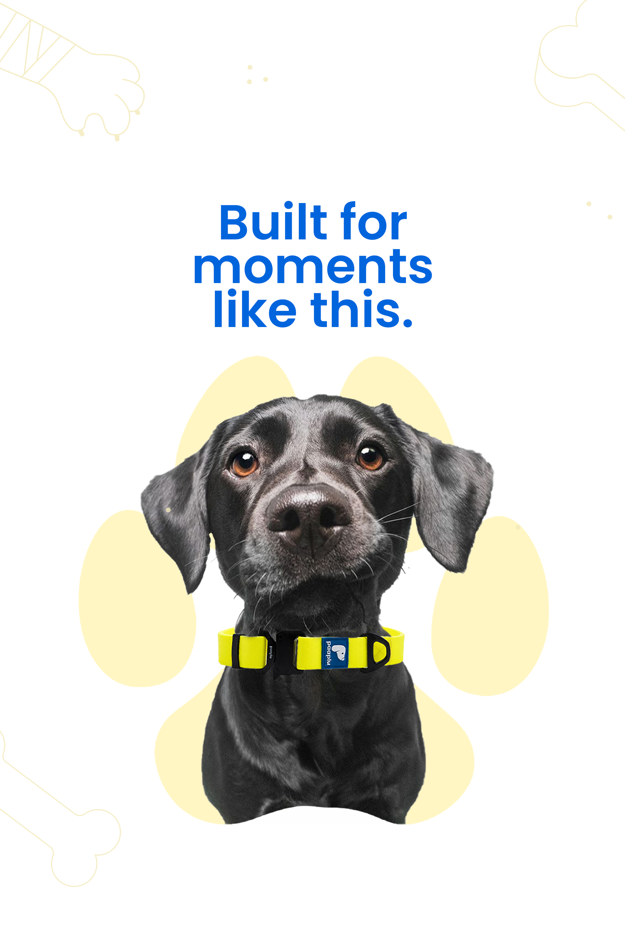 Paaplu Dog Collar Pro