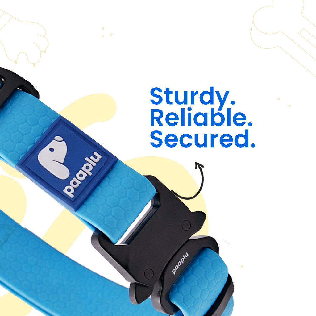 Paaplu Dog Collar Pro