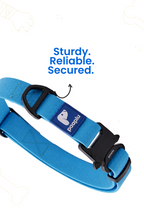 Paaplu Dog Collar Pro