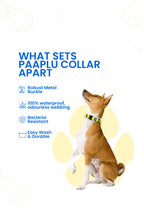 Paaplu Dog Collar Pro