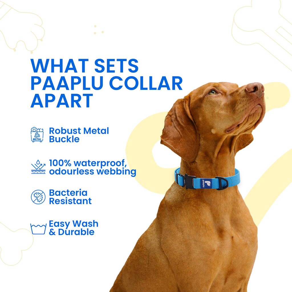 Paaplu Dog Collar Pro