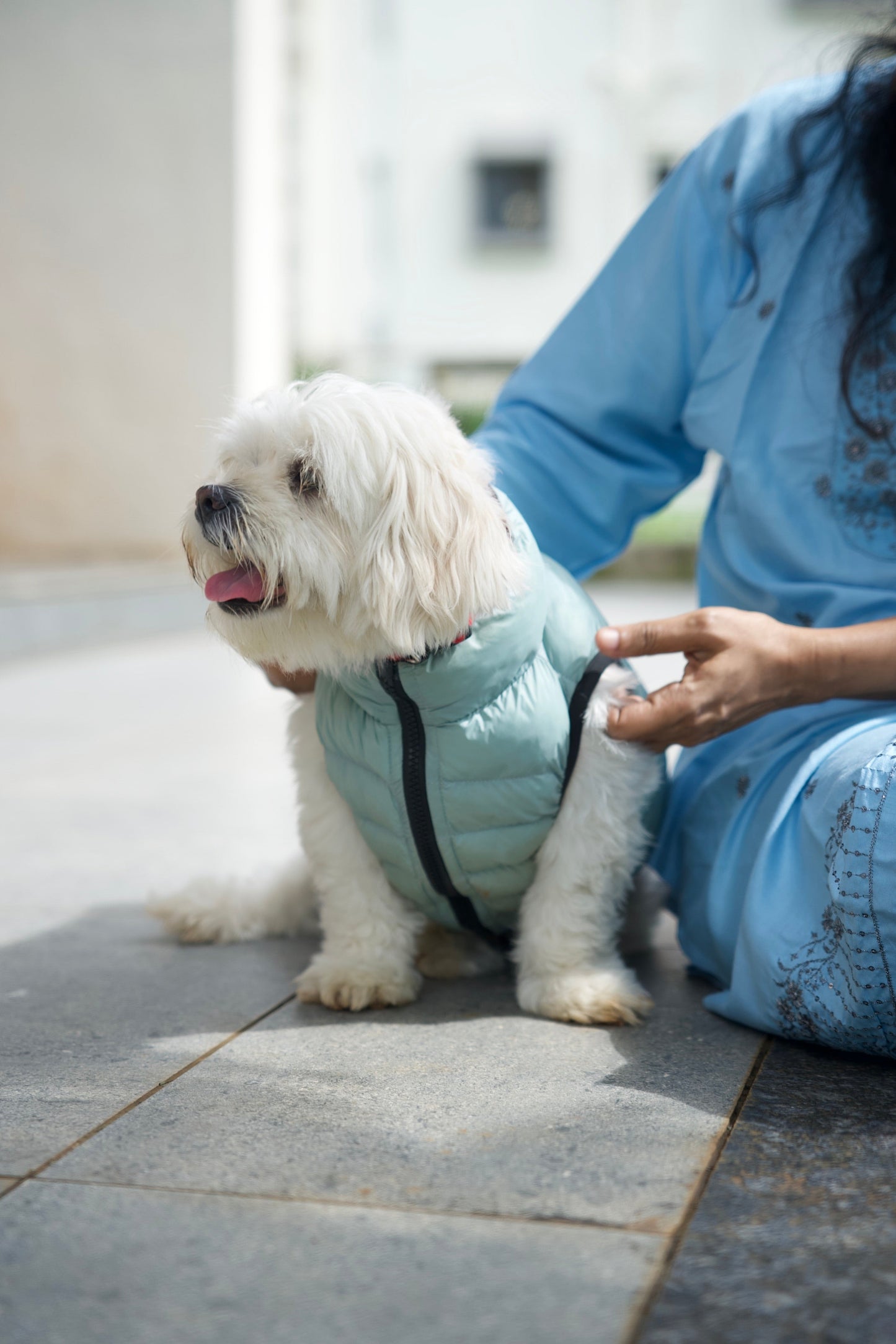 Paaplu Ultra-Light Dog Jacket