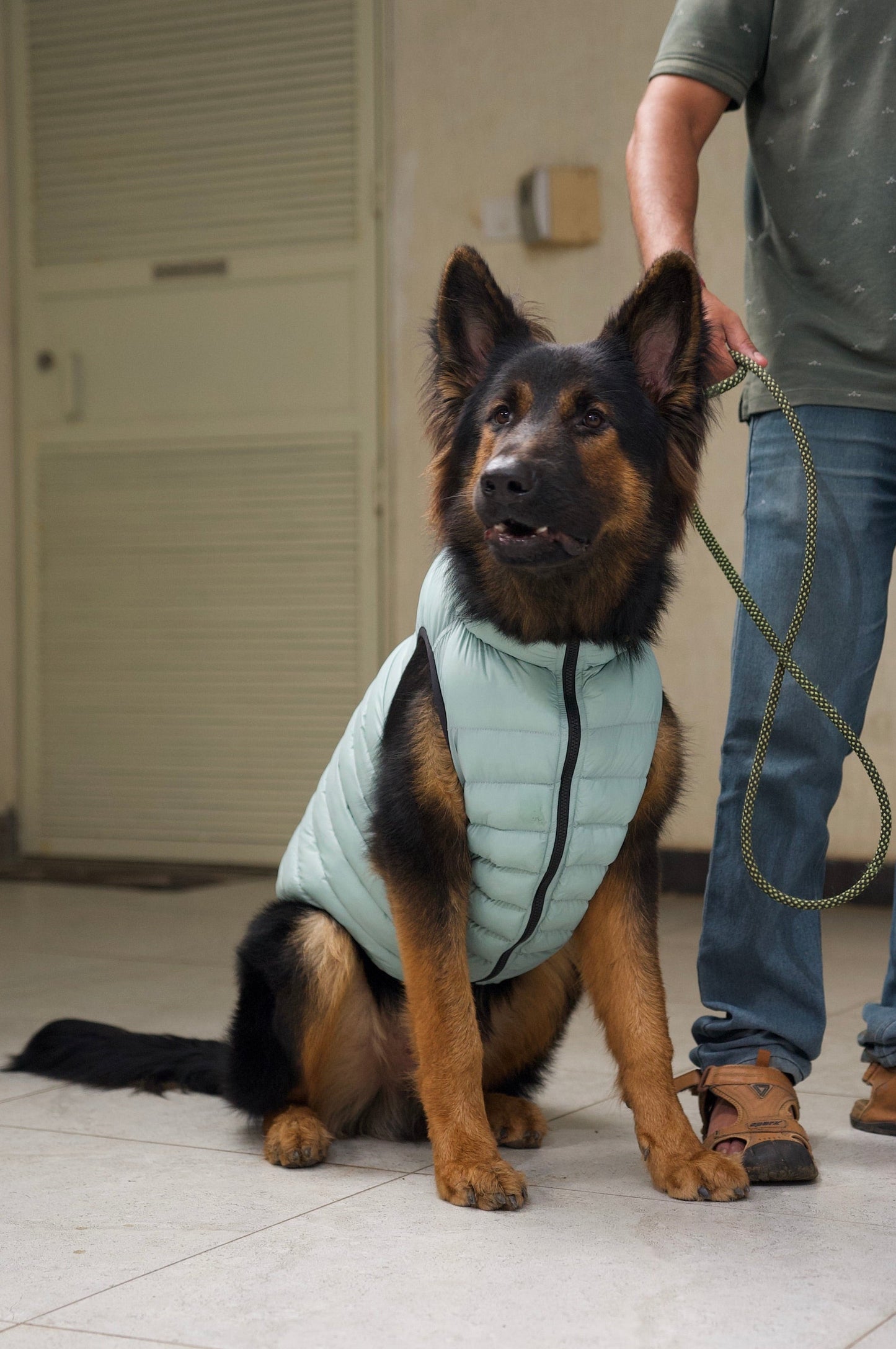 Paaplu Ultra-Light Dog Jacket