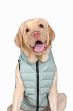Paaplu Ultra-light Dog Jacket