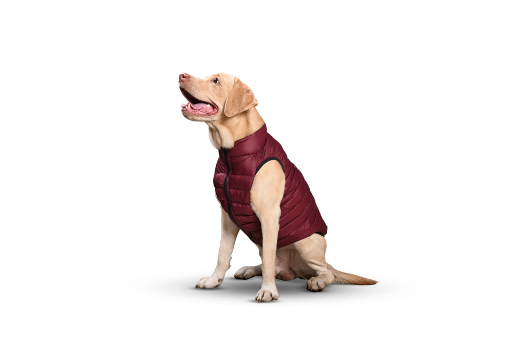 Paaplu Ultra-light Dog Jacket