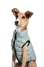 Paaplu Ultra-light Dog Jacket