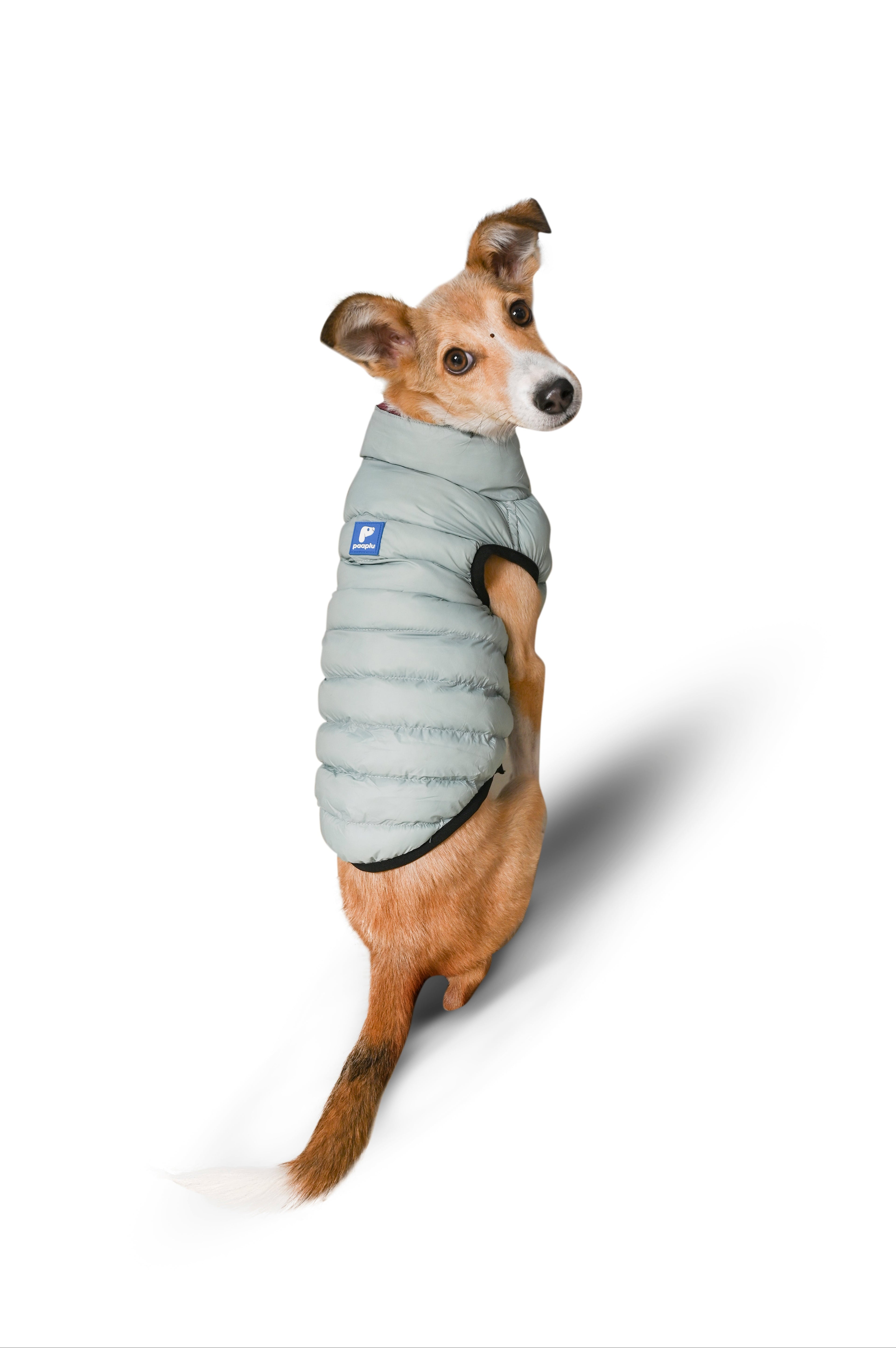 Paaplu Ultra-light Dog Jacket