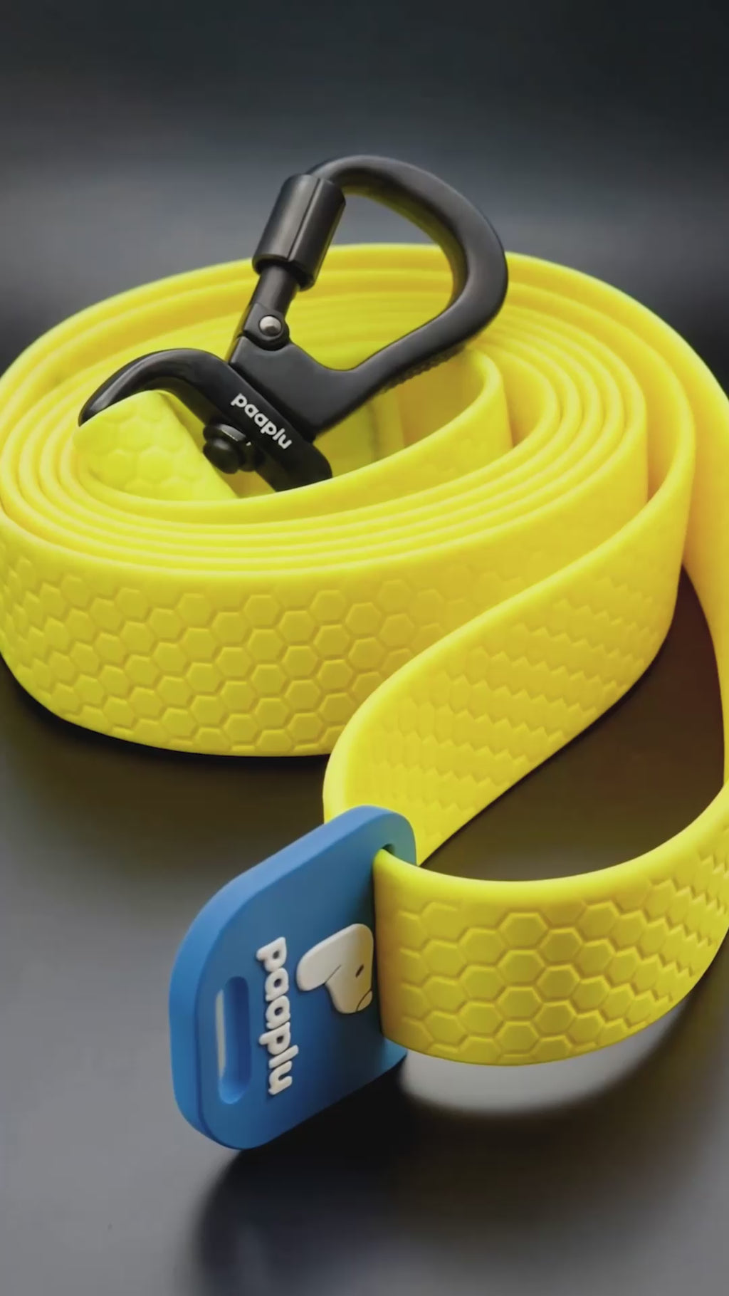 Paaplu Dog Collar Pro